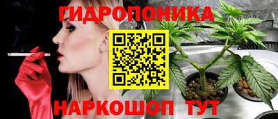 твердый Брянск