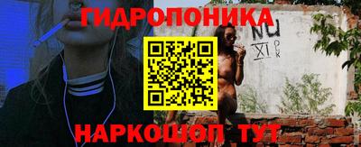 твердый Брянск