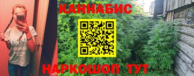 сатива Боровичи