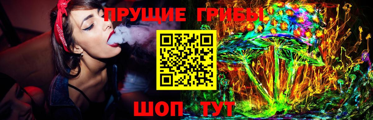 Галлюциногенные грибы Psilocybine cubensis  Вход с VPN  Белебей  Псилоцибиновые грибы мицелий 